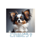 ペットの可愛いパピヨン（個別スタンプ：33）