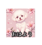 ペットのビションフリーゼ（個別スタンプ：1）