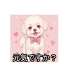 ペットのビションフリーゼ（個別スタンプ：6）