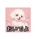ペットのビションフリーゼ（個別スタンプ：12）