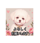 ペットのビションフリーゼ（個別スタンプ：13）