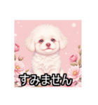 ペットのビションフリーゼ（個別スタンプ：16）