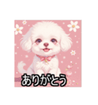 ペットのビションフリーゼ（個別スタンプ：18）