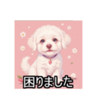 ペットのビションフリーゼ（個別スタンプ：19）