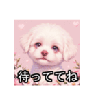 ペットのビションフリーゼ（個別スタンプ：28）