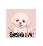 ペットのビションフリーゼ（個別スタンプ：36）