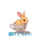 ティカップウサギ（個別スタンプ：17）