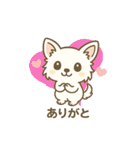 内弁慶チワワのご挨拶『ありがとう』（個別スタンプ：19）