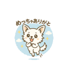 内弁慶チワワのご挨拶『ありがとう』（個別スタンプ：20）