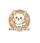 内弁慶チワワのご挨拶『ありがとう』（個別スタンプ：22）