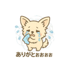 内弁慶チワワのご挨拶『ありがとう』（個別スタンプ：23）