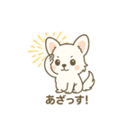 内弁慶チワワのご挨拶『ありがとう』（個別スタンプ：25）
