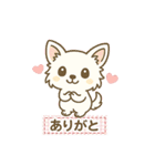 内弁慶チワワのご挨拶『ありがとう』（個別スタンプ：27）