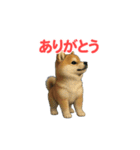 うごいて楽しい動物園「柴犬」（個別スタンプ：2）