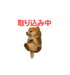 うごいて楽しい動物園「柴犬」（個別スタンプ：8）