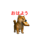 うごいて楽しい動物園「柴犬」（個別スタンプ：11）