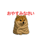 うごいて楽しい動物園「柴犬」（個別スタンプ：12）