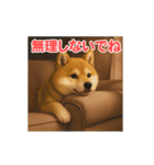 うごいて楽しい動物園「柴犬」（個別スタンプ：13）