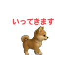 うごいて楽しい動物園「柴犬」（個別スタンプ：18）