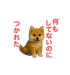 うごいて楽しい動物園「柴犬」（個別スタンプ：19）