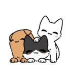 友達の友達に頼まれたぬこ（3匹）（個別スタンプ：8）