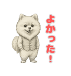 ポメラニアンの喜怒哀楽スタンプ Vol.1（個別スタンプ：1）
