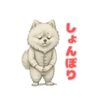 ポメラニアンの喜怒哀楽スタンプ Vol.1（個別スタンプ：3）