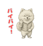 ポメラニアンの喜怒哀楽スタンプ Vol.1（個別スタンプ：7）