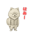 ポメラニアンの喜怒哀楽スタンプ Vol.1（個別スタンプ：9）