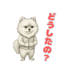ポメラニアンの喜怒哀楽スタンプ Vol.1（個別スタンプ：11）