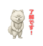 ポメラニアンの喜怒哀楽スタンプ Vol.1（個別スタンプ：14）
