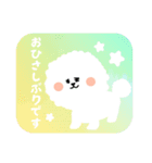 ビションフリーゼのくう 日常スタンプ3（個別スタンプ：1）