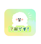 ビションフリーゼのくう 日常スタンプ3（個別スタンプ：19）