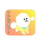 ビションフリーゼのくう 日常スタンプ3（個別スタンプ：32）