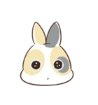 兎ちの子は、仲良しだから。（個別スタンプ：3）