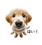 ゴールデンレトリバー子犬★返信スタンプ（個別スタンプ：6）