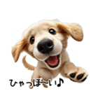 ゴールデンレトリバー子犬★返信スタンプ（個別スタンプ：7）