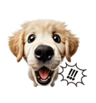 ゴールデンレトリバー子犬★返信スタンプ（個別スタンプ：8）