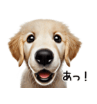 ゴールデンレトリバー子犬★返信スタンプ（個別スタンプ：10）
