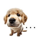 ゴールデンレトリバー子犬★返信スタンプ（個別スタンプ：15）