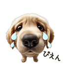 ゴールデンレトリバー子犬★返信スタンプ（個別スタンプ：21）