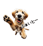 ゴールデンレトリバー子犬★返信スタンプ（個別スタンプ：22）