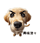 ゴールデンレトリバー子犬★返信スタンプ（個別スタンプ：24）