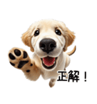 ゴールデンレトリバー子犬★返信スタンプ（個別スタンプ：27）