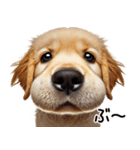 ゴールデンレトリバー子犬★返信スタンプ（個別スタンプ：28）