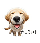 ゴールデンレトリバー子犬★返信スタンプ（個別スタンプ：29）