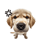 ゴールデンレトリバー子犬★返信スタンプ（個別スタンプ：32）