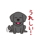 らぶらぶ黒ラブさん（個別スタンプ：1）