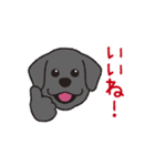 らぶらぶ黒ラブさん（個別スタンプ：2）