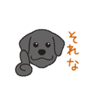 らぶらぶ黒ラブさん（個別スタンプ：6）
